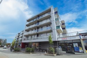 Photo 10- click for photo gallery